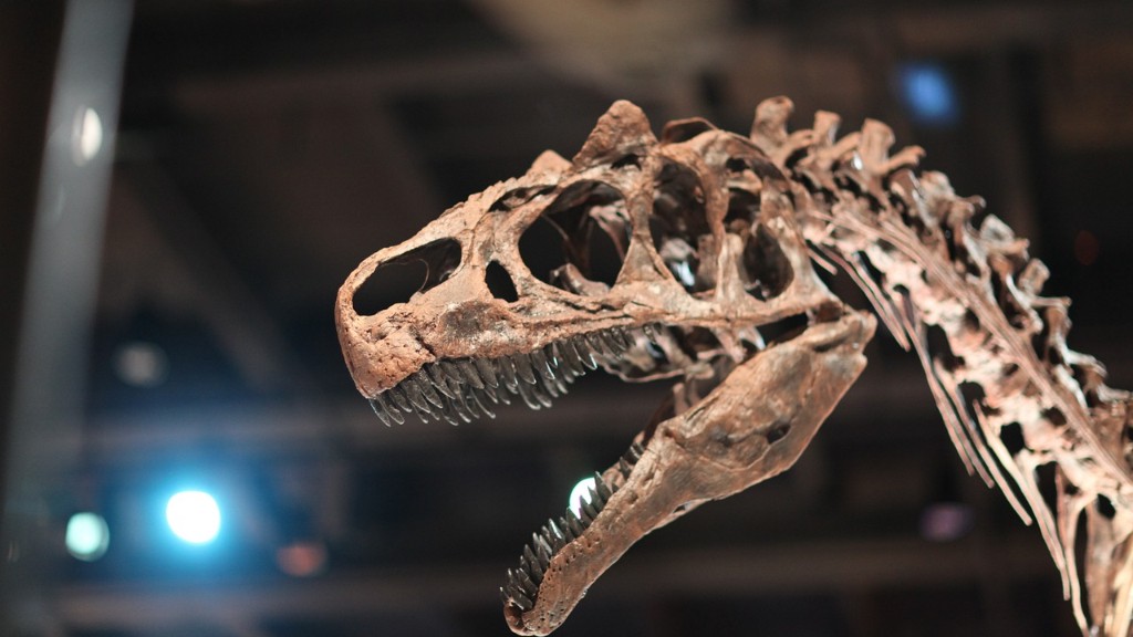 كيف تبدو عظام الديناصورات